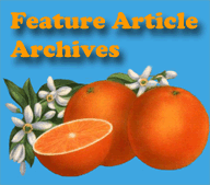 Feature Article Archives